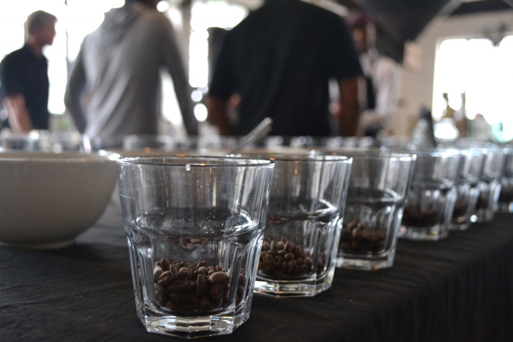 Colombo Coffee Cupping