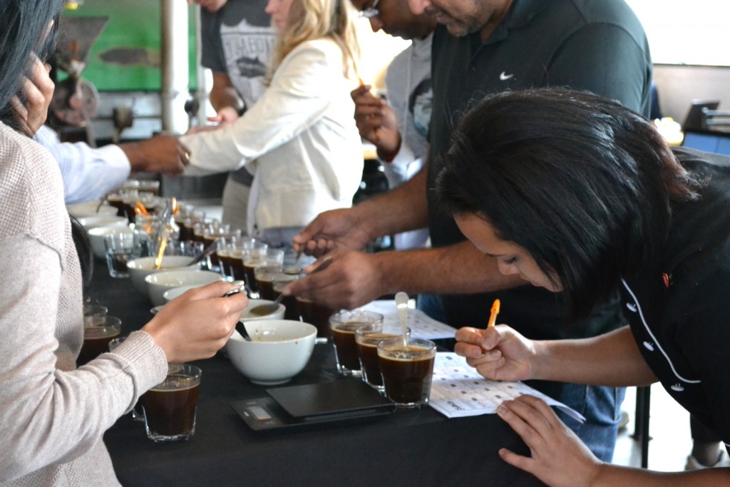 Colombo Coffee Cupping